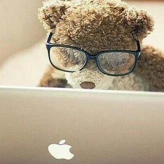 Teddy bear in glasses staring at a MacBook
