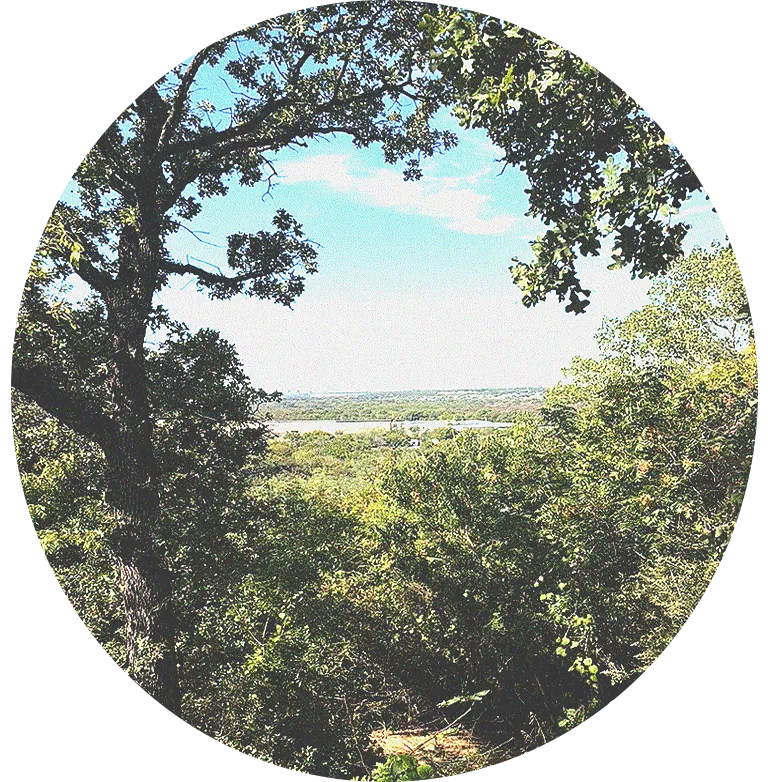 View through the trees from the hill, out over the land toward Fort Worth